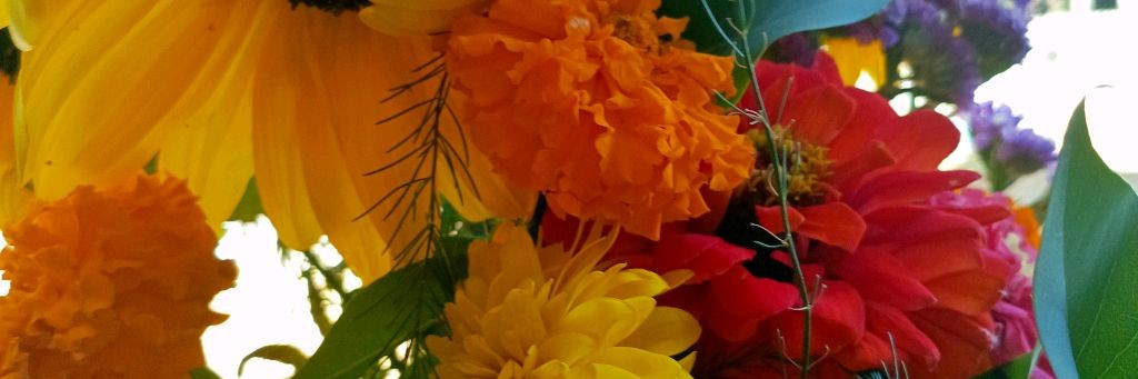 Бьюти Дневник