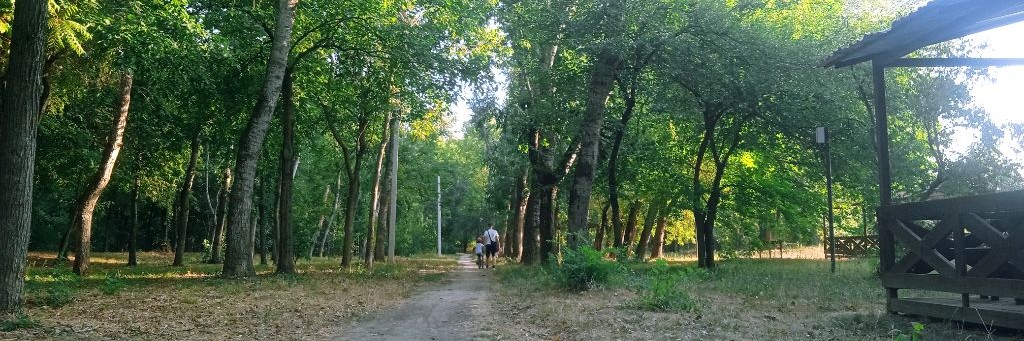 マキマ (⁠◠⁠‿⁠・⁠)⁠—⁠☆геншин!