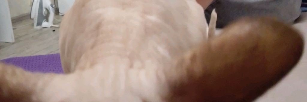 Влад ГТА 5 и стандофф 2