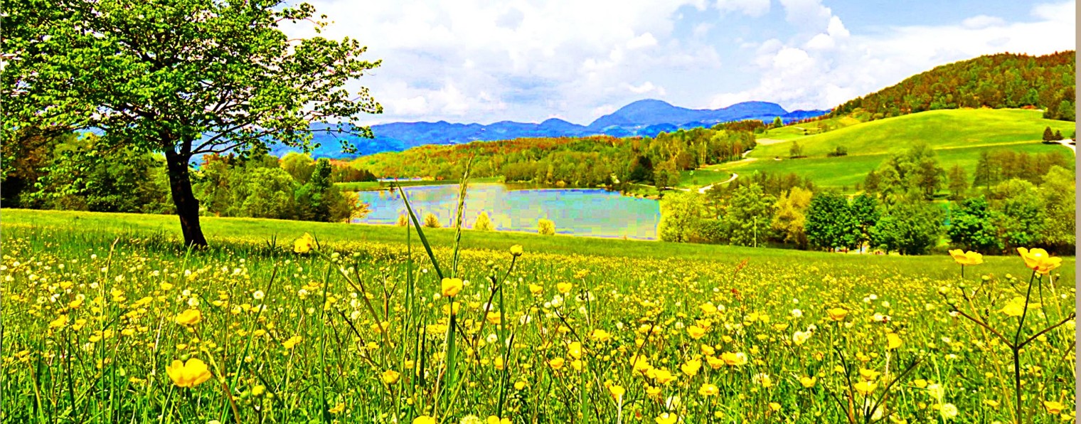 Галина Сафонова-Пиус