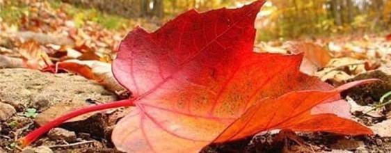 Душа знает  🎶🦋🌈🍀