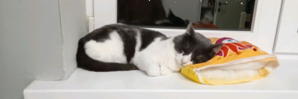 Александр alexkrd93