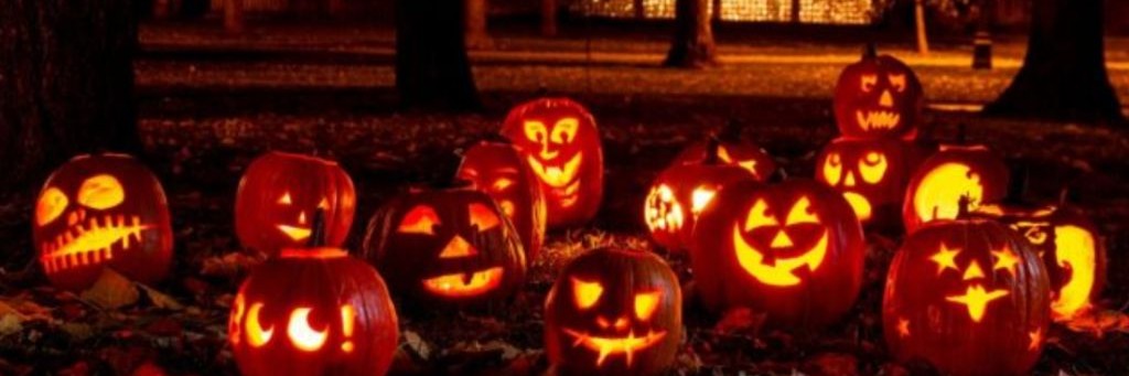 ⋆ ♡˚｡⋆୨୧~√∆[ βα||]^√ ~˚୨୧☆⋆｡˚