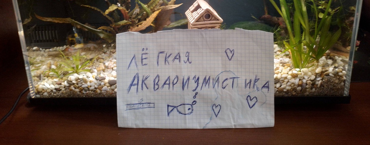 Аквариум и бизнес