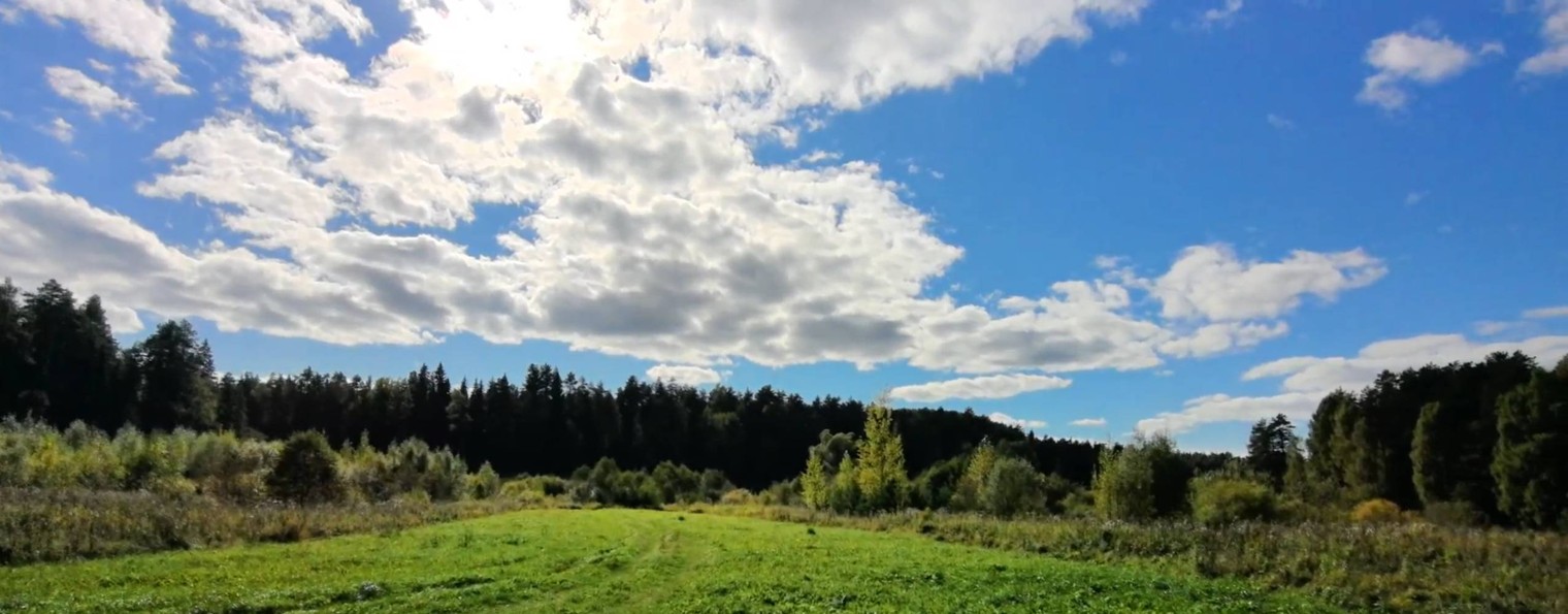 Природа в фокусе