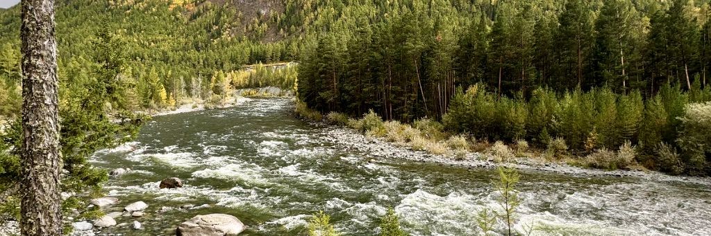 Горный путник