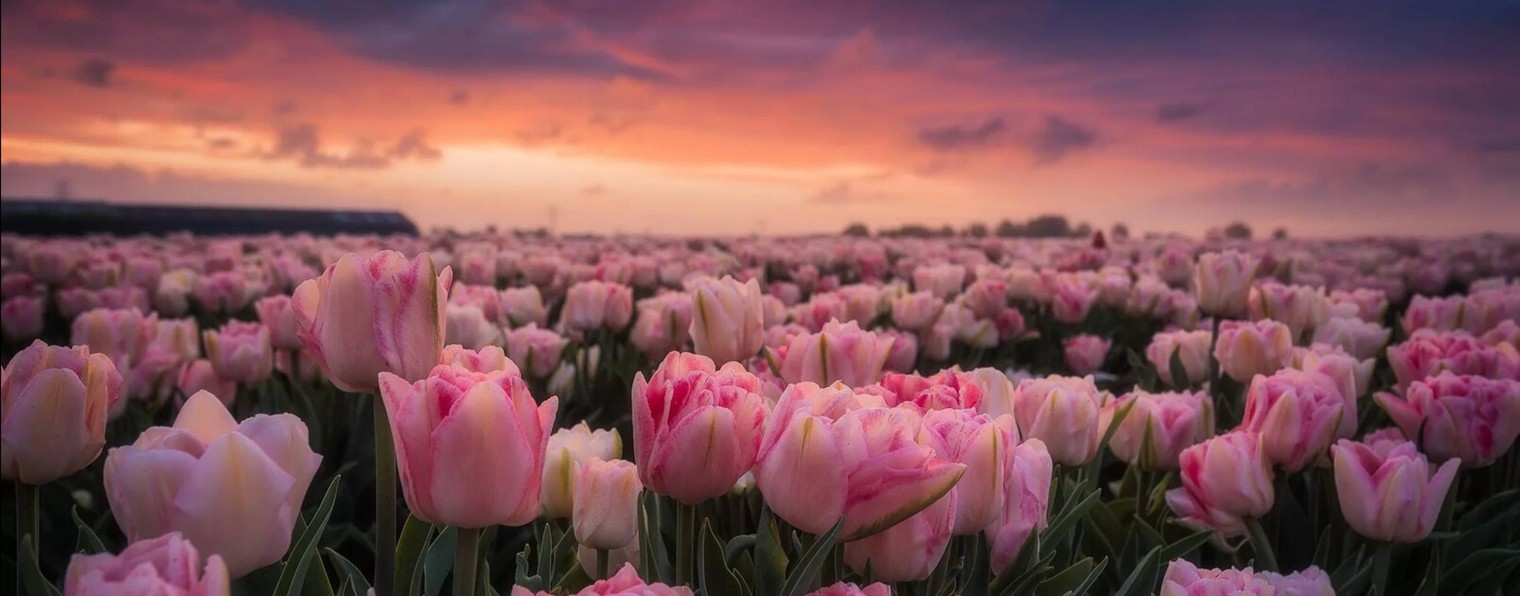 Виктория 87♡✿♡