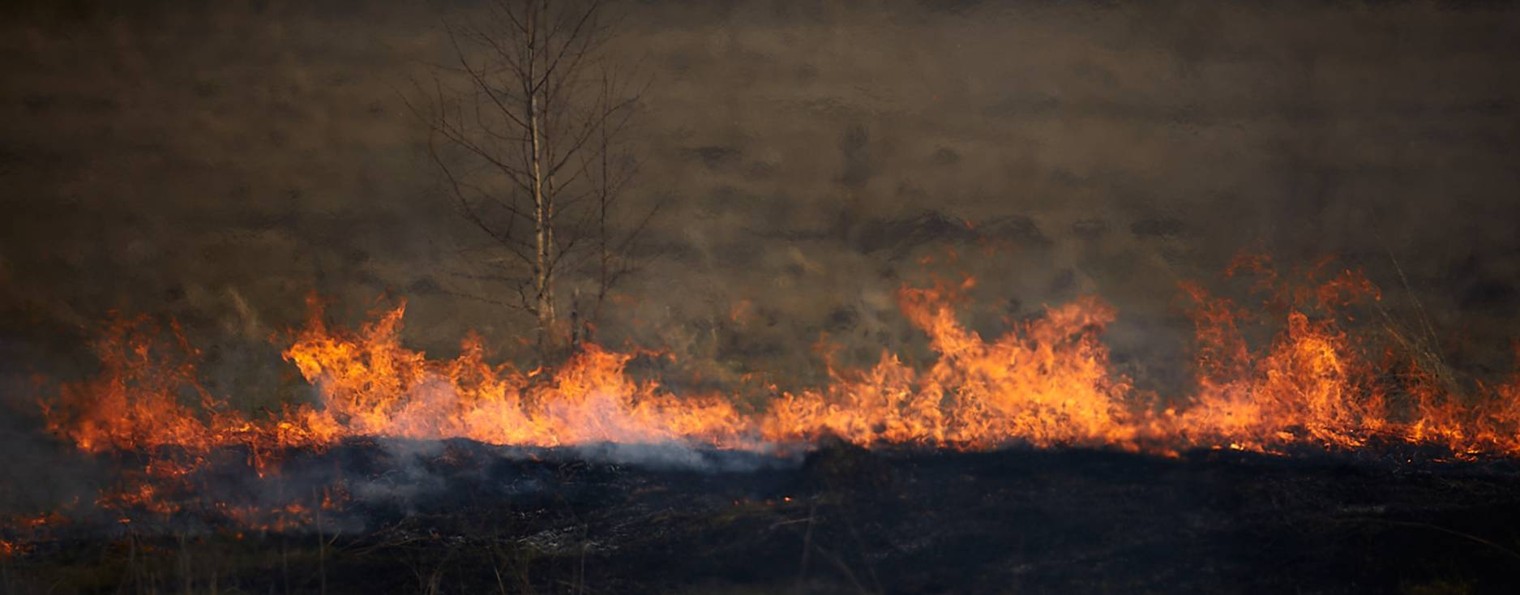 Команда Симаргл