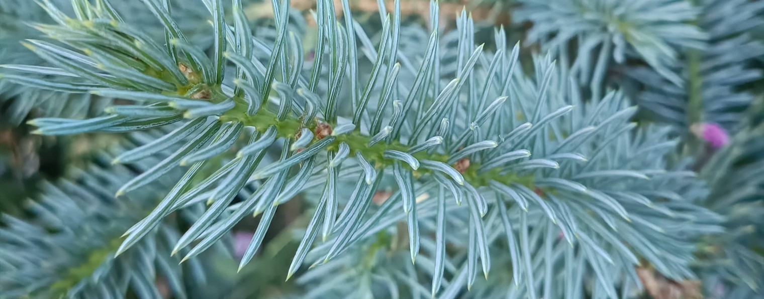 Житейские истории