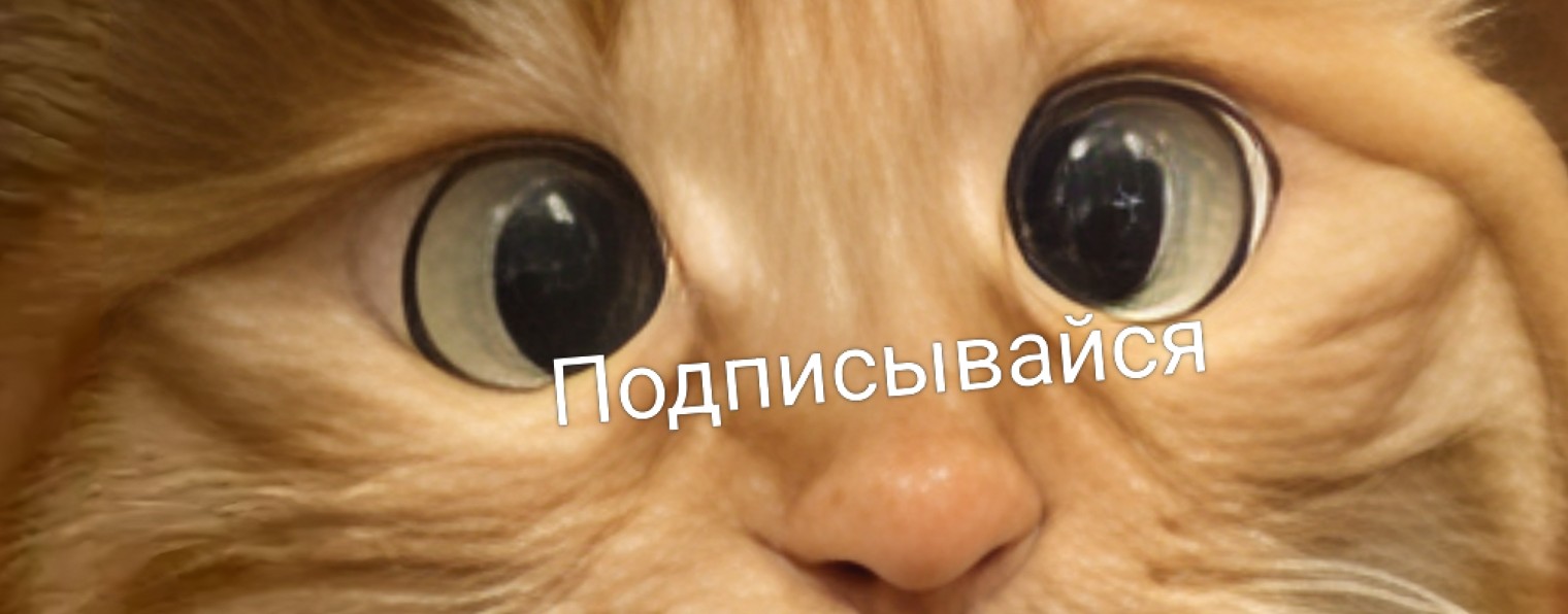 Самый сок!