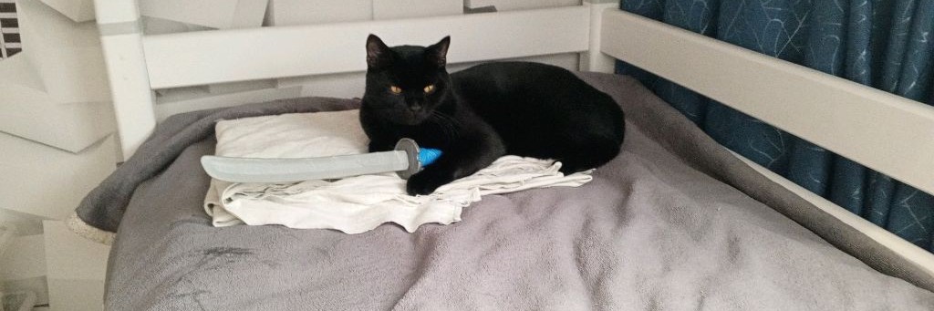 Вкусный Бутерброд С Вареньем