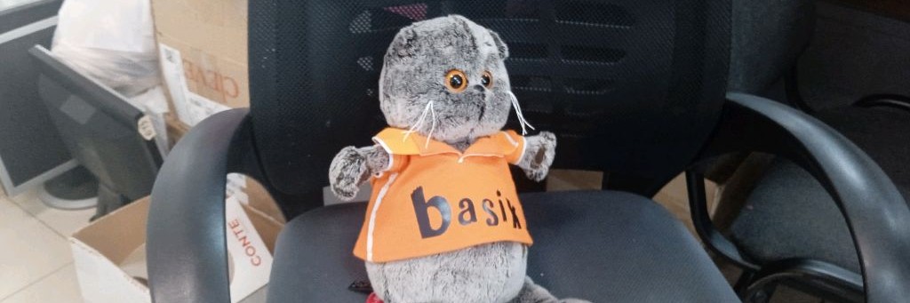 Басик Басик