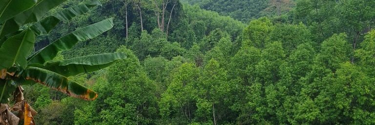 Мой Дневник