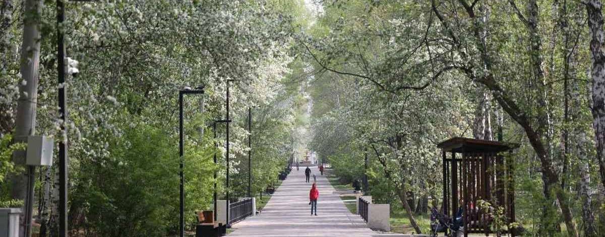 МаИскры / Майские Искры