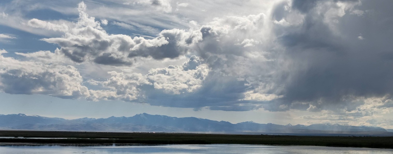 Максим Зайцев