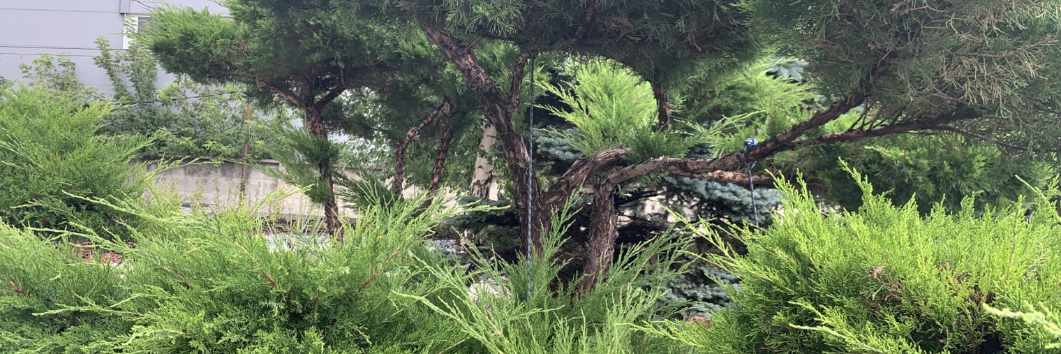 Добрый Строитель!