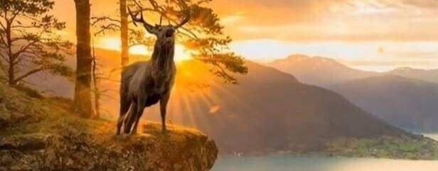 Лучшие песни Ростова Владимира. НИК - Таёжник.