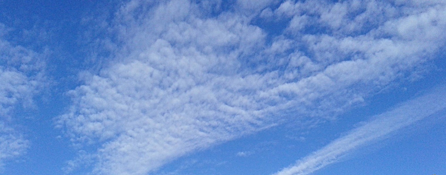 NB на полях и по пути