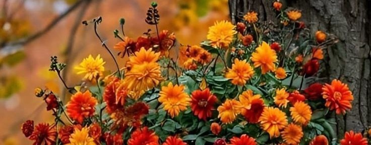 ДОМОХОЗЯЙСКИЕ БУДНИ