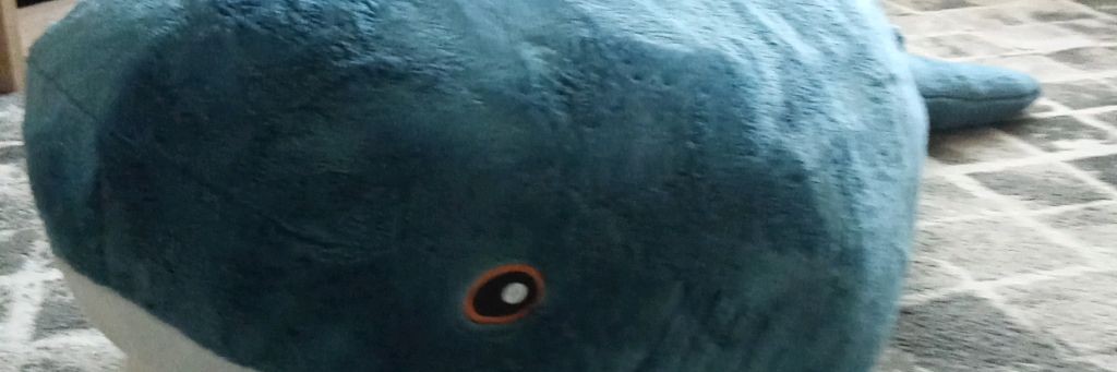 ☘️🌿I love Slime Ranch☘️🌿