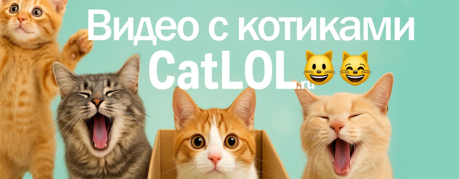 CatLOL - видео с котиками