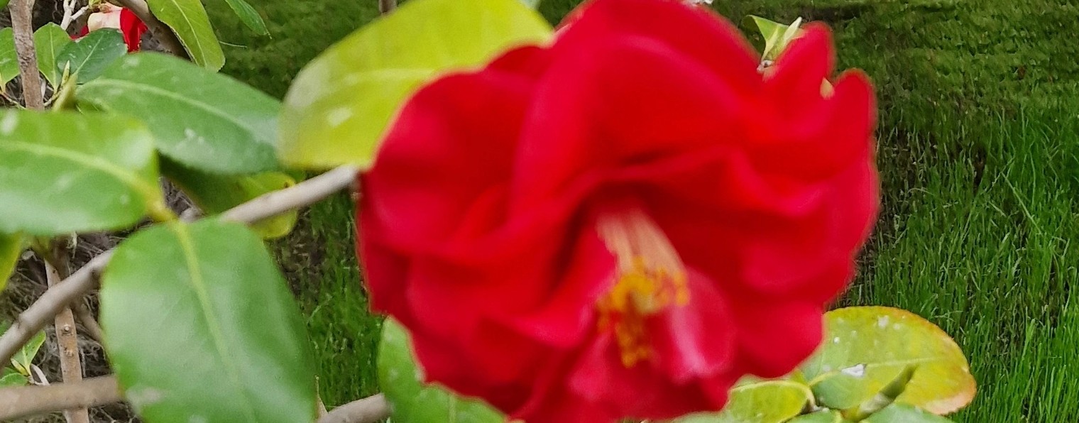 повседневная жизнь. моя семья.