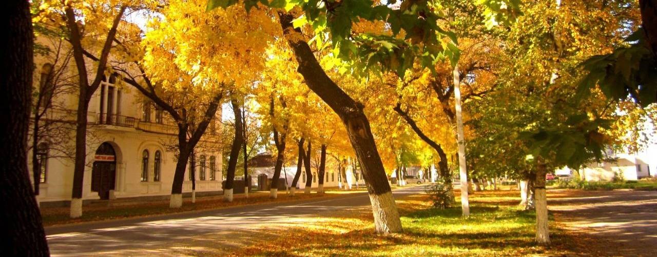 Григориополь - наше всё!