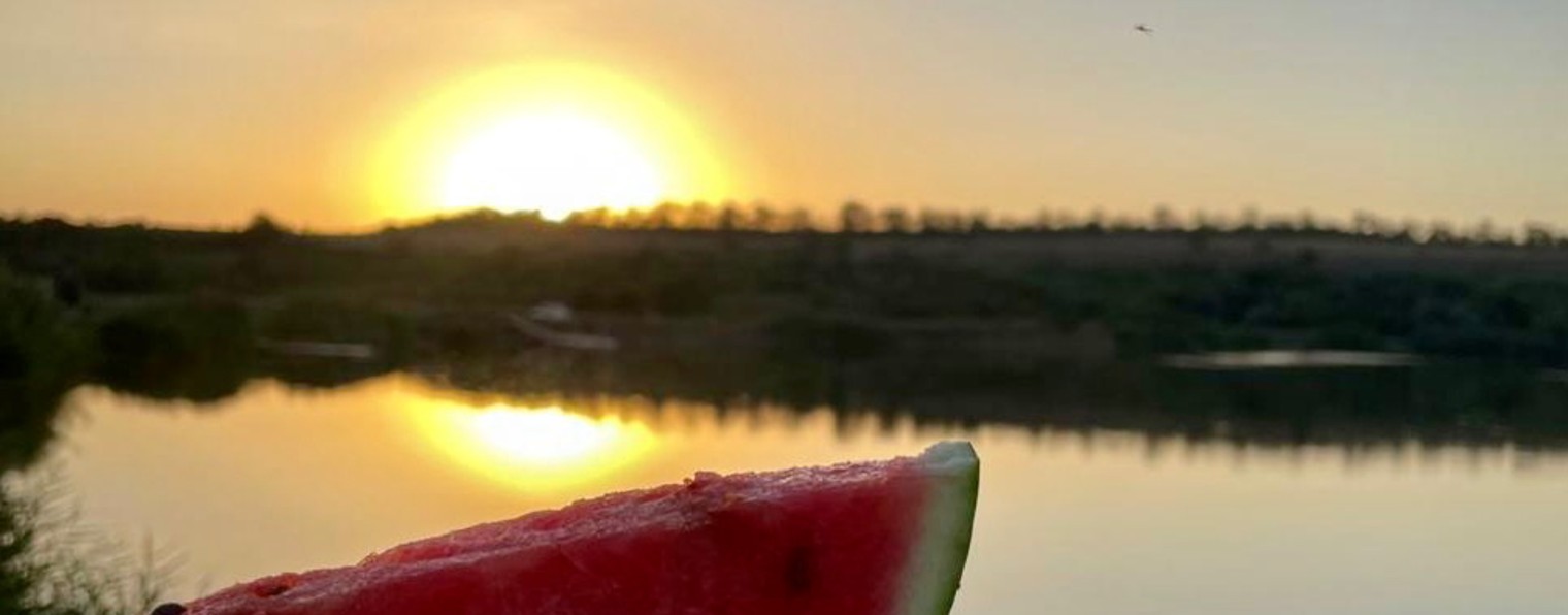 Просто так 🌸