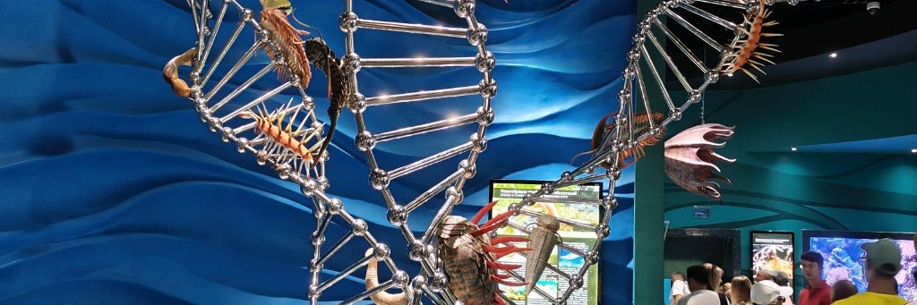 В гостях у Марты...