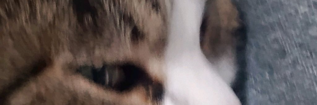 Мирошка Окрошка