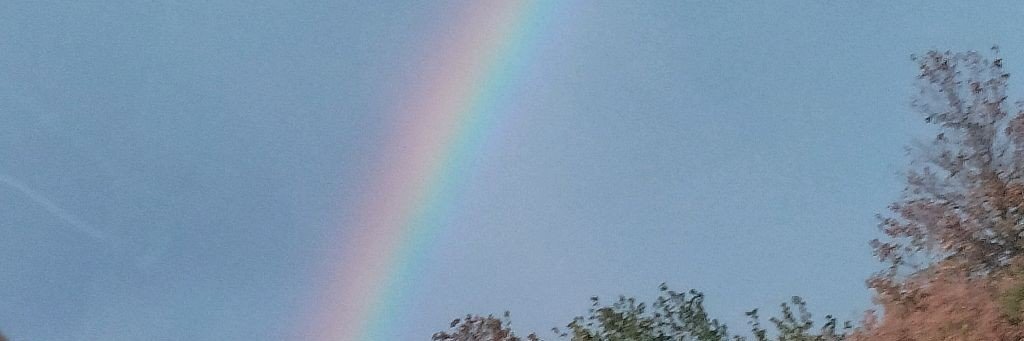 Светлана Уварова