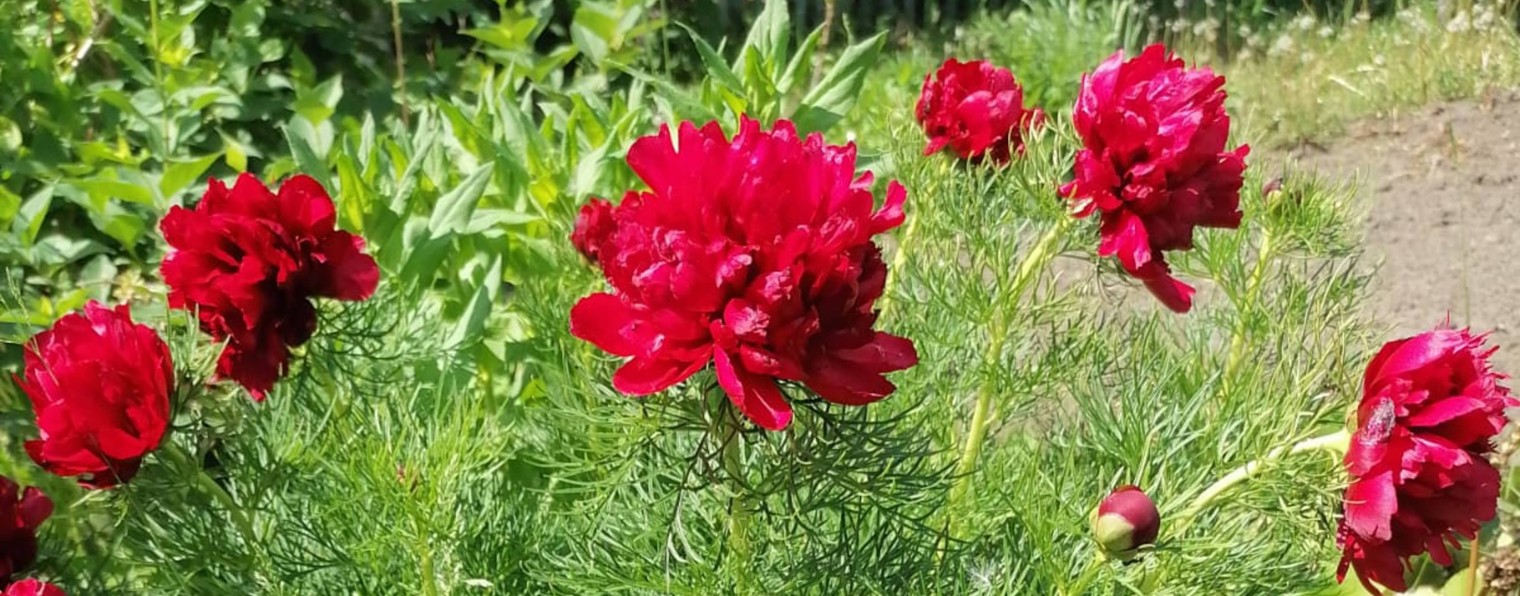 Красивая девочка Галя