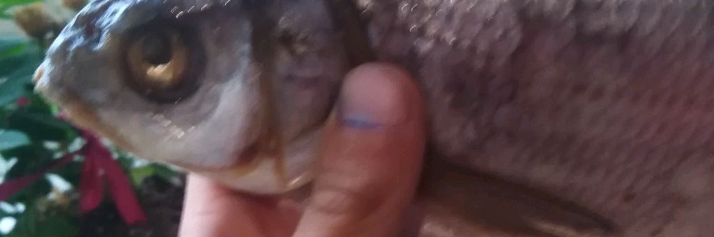 Рыболов Тимофей 666