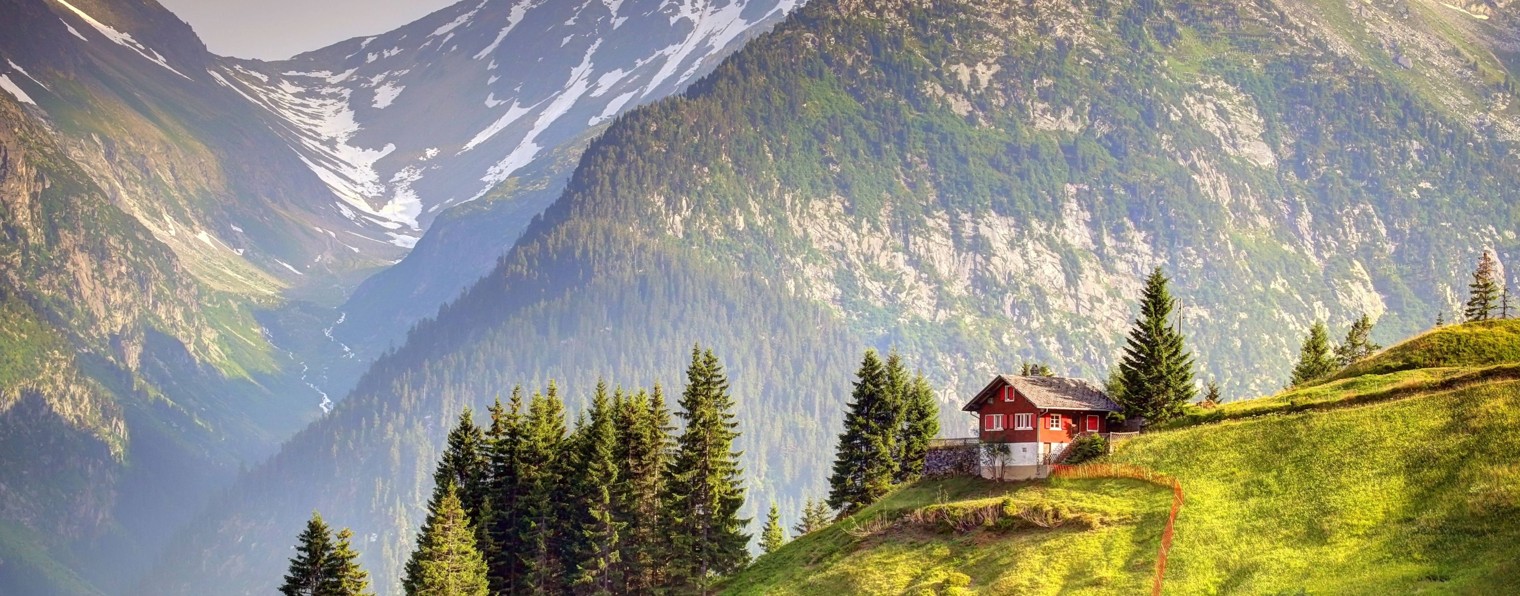 Главный по стройке