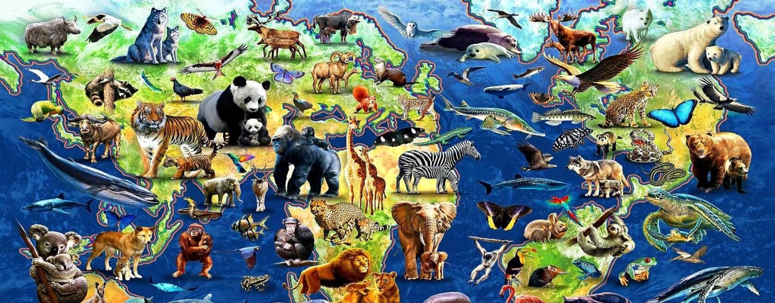 Животный мир