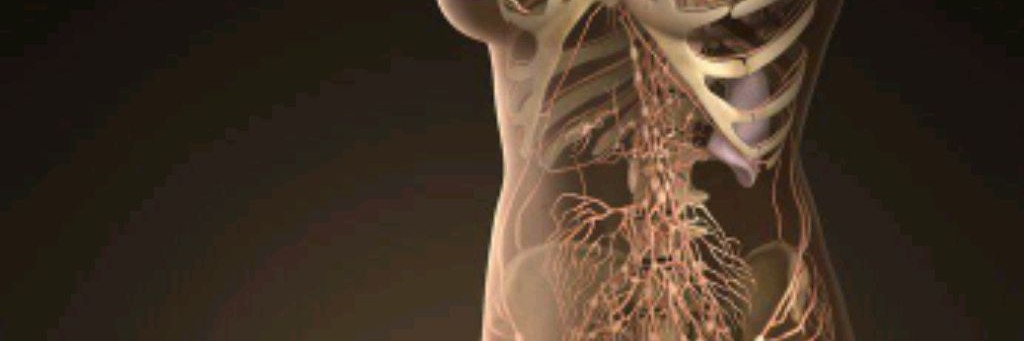 Здравник. Удаление лимфатического панциря/полноты