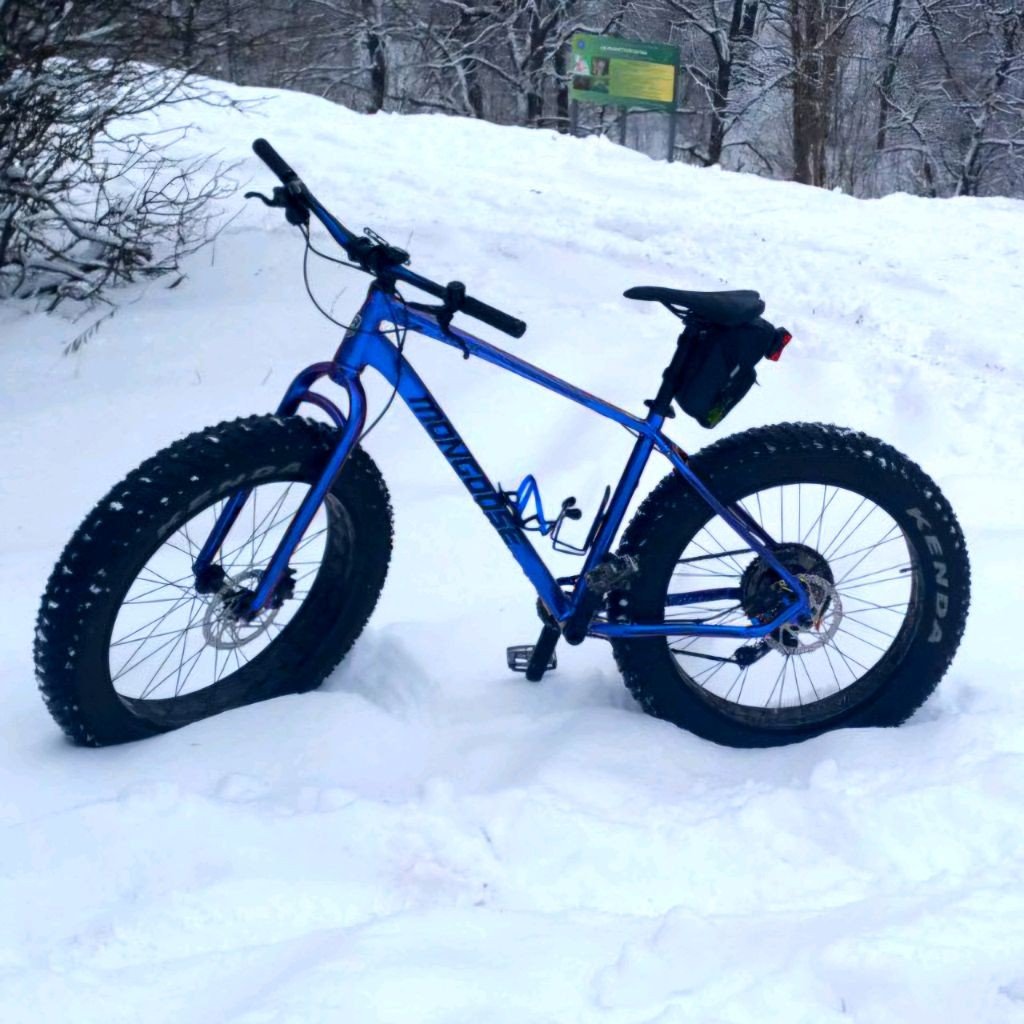 Самарский Фетбайкер