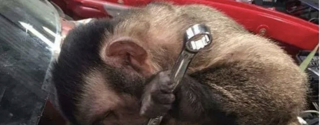 Мутный мастер!