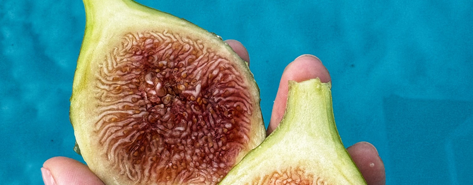 Юлина кухня❤️