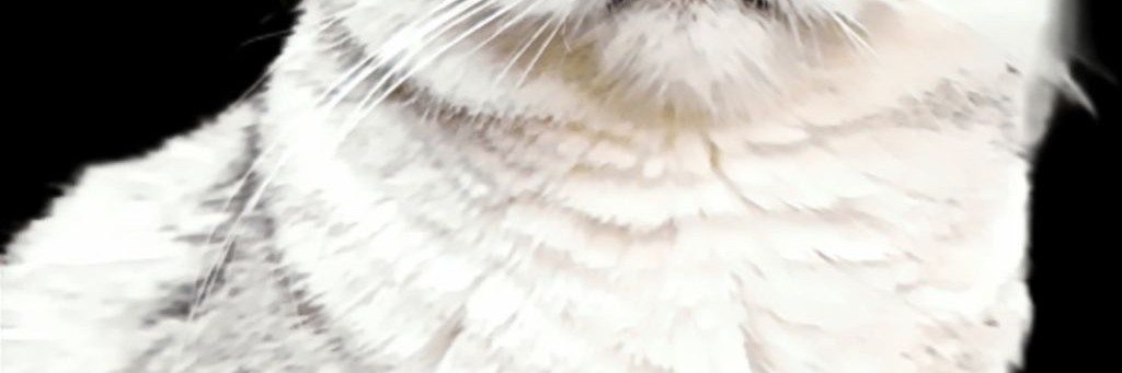 Barsik_rbxx- {Брукхевен}(Fan Wilex_rbx)