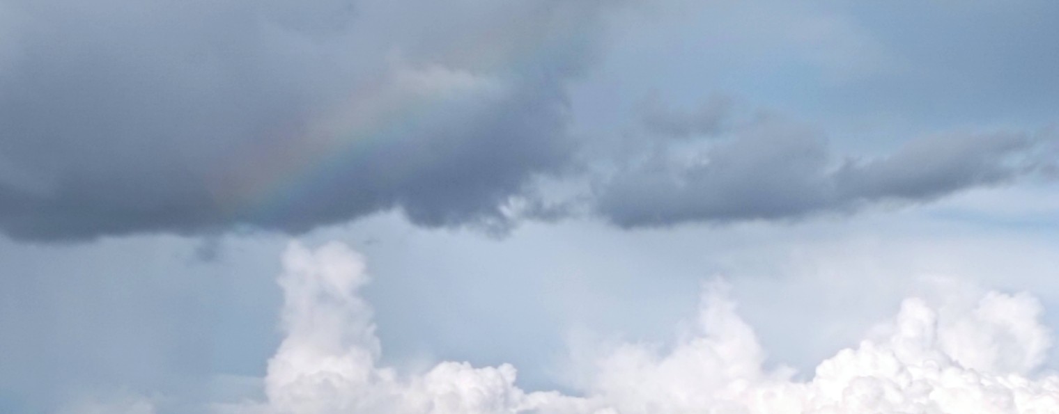 Темникова Валентина