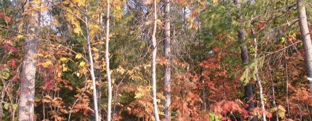 Виталик -1979