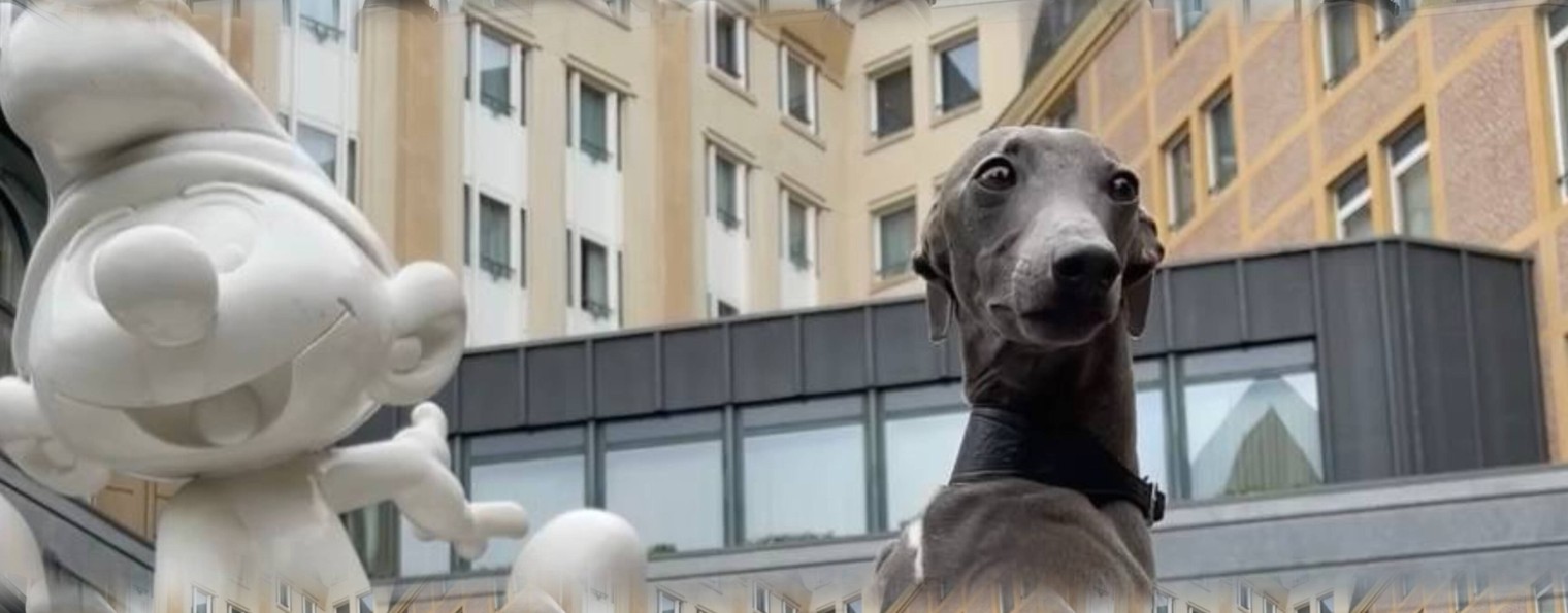 Твой друг Луиджи