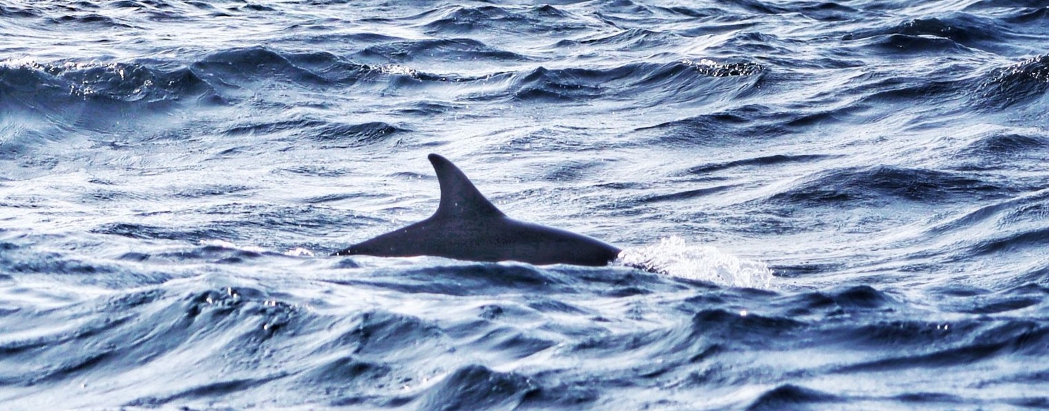 HhhhhhelgàaaАaaaАААaаa WWWWWWWWWWWWWWWWWWWWWWWWWWW