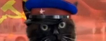 генерал чмоня пупсич