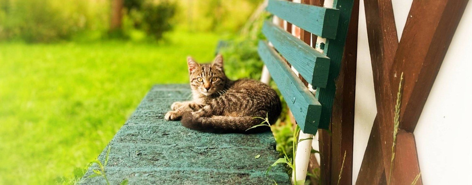 Виктор Журавлев