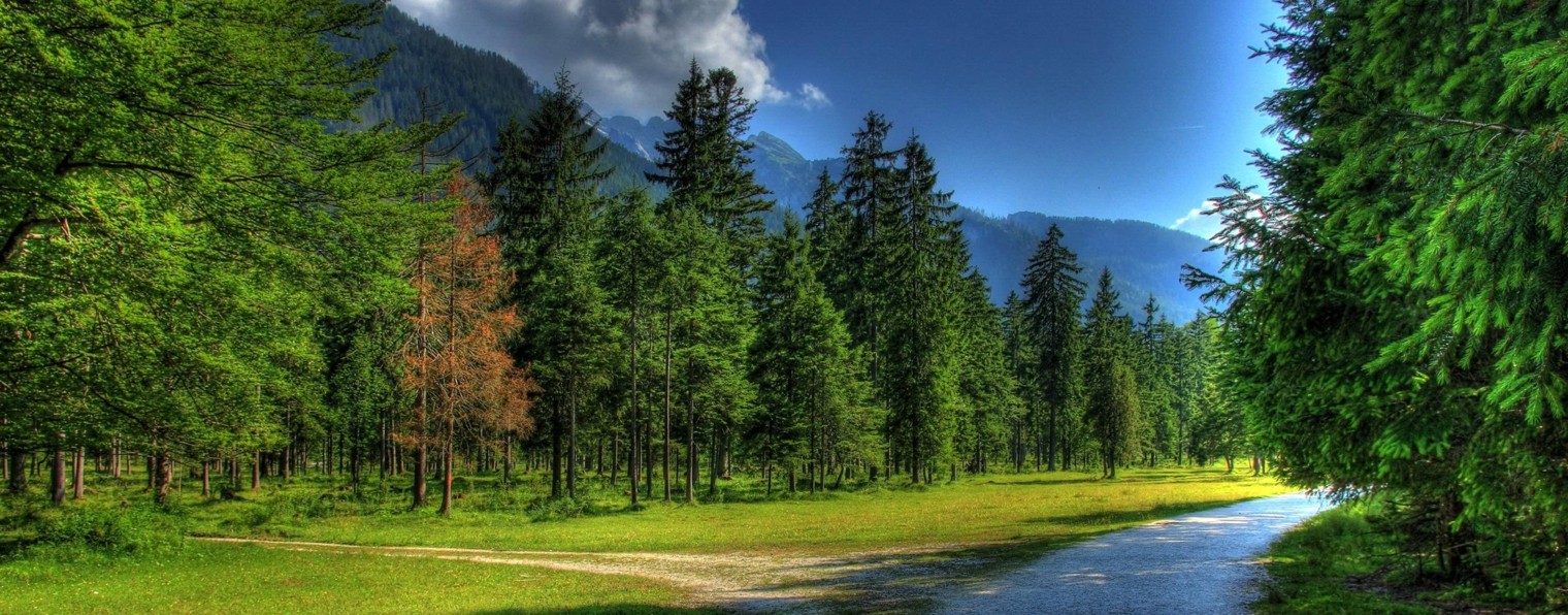 Заметки современника