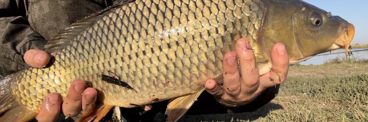 Вадос на рыбалке