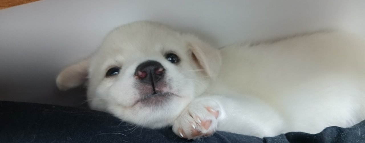 Провинциальная НеДоДачница и Герда