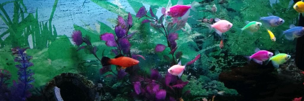 ❤Натали Орлова❤